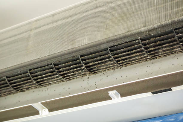 Best Air Duct Cleaning Near Me  in Magnolia, NJ