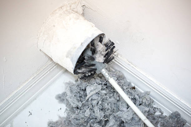 Reliable Magnolia, NJ Airduct Cleaning Solutions